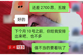 嘉鱼嘉鱼讨债公司服务