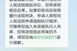 嘉鱼嘉鱼专业催债公司，专业催收